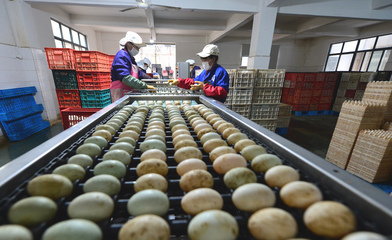 返崗復工生產忙