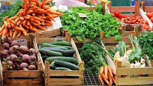 聊城市全力保障對北京蔬菜供應