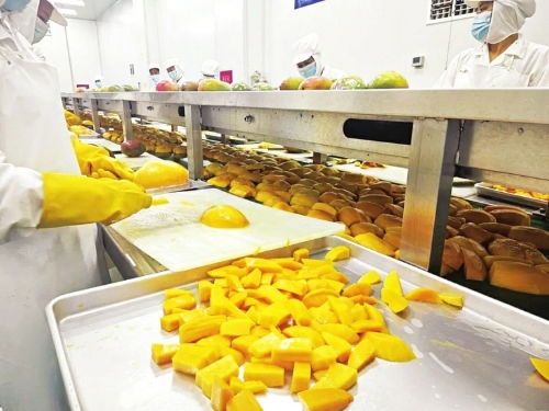 本地要聞 攀枝花市人民政府