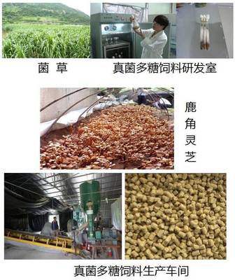 立體種養循環農業模式為生態試驗區建設添磚加瓦