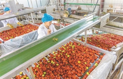 角逐資源轉化新賽道