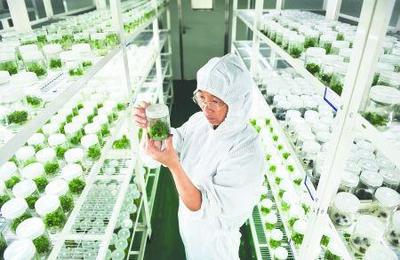 “叮咚”將從“幫別人賣菜”變成"賣自己的放心菜",第一塊自營菜地將在金山廊下