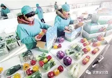 農產品又滯銷?因為農民朋友沒有這個!