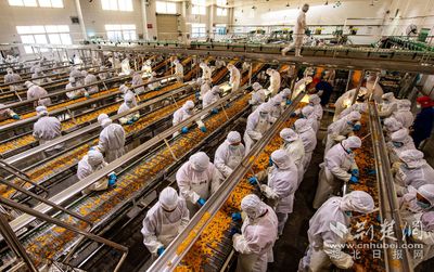 湖北宜昌:柑橘深加工拓寬市場保增收