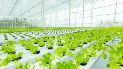 農業產業周報|騰訊、盒馬鮮生、龍大食品、中聯農機最新動態;本周5例資本事件