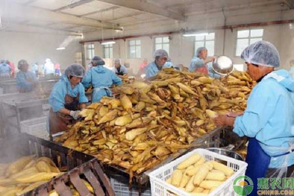 山西農產品精深加工產業集群優勢區出爐 清徐縣上榜_農業