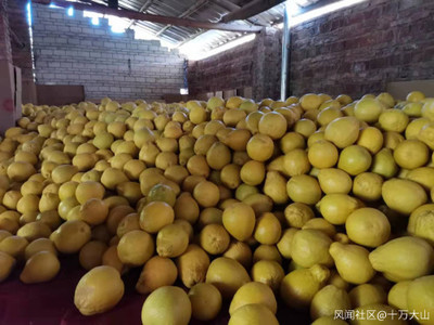 家鄉特色水果產業發展現狀觀察