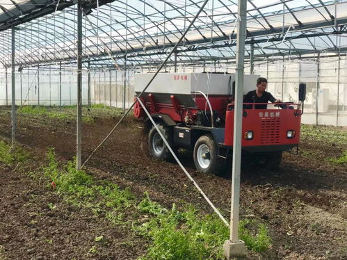 上海松江創建農產品綠色生產基地,打響農產品的 綠色招牌
