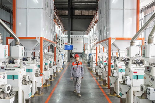 5g賦能,現代農產品加工有了 最強大腦