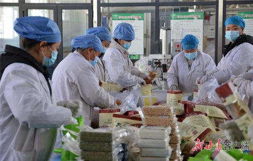 環縣 村集體經濟拓寬群眾致富路