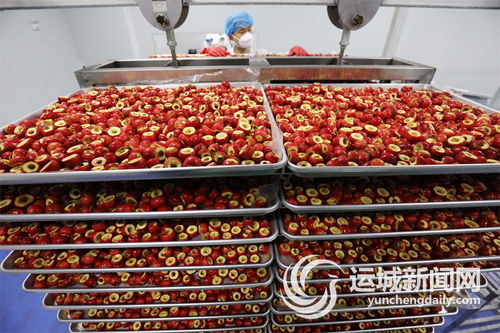 萬榮縣 大力提升農副產品深加工