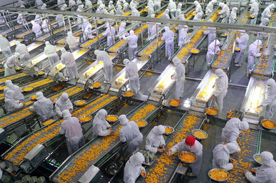 多措并舉促進鄉村振興 全國政協“三農”工作對口協商會良策多