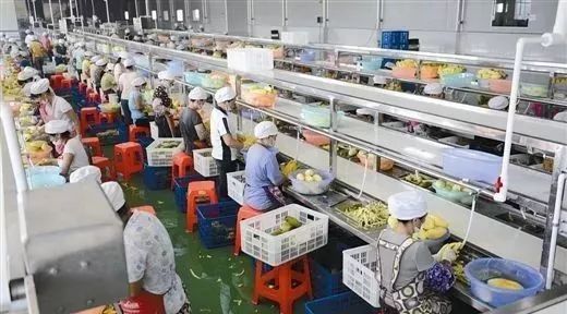 扎心了!誰說農產品深加工只能做吃喝?日本已經“玩出花”了!