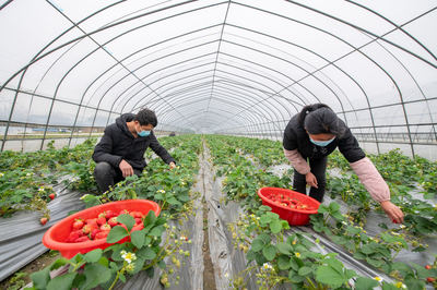 南潯:農產品基地忙生產
