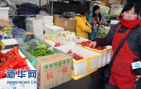 海南蔬菜進京的價格清單 運銷戶一斤只賺0.14元