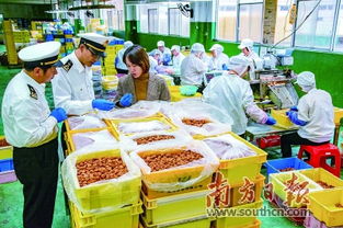 服務粵東全面融入粵港澳大灣區