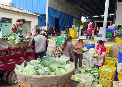 姚安縣人民政府