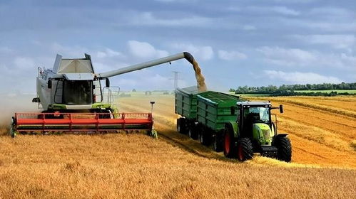 美國農業的繁榮和衰退,為何一戰前后農業會出現這樣的變化