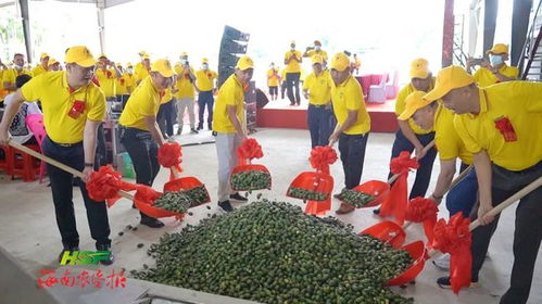 墾地緊密配合 墾區內部協同 僅用83天 海墾熱作紅昇農產品分揀加工廠投產運營