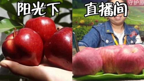 農產品直播需要重點關注的幾個問題