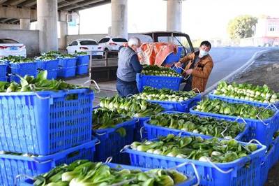 農業農村部公布產業發展要點:今年重點發展鄉村旅游與農產品精深加工等