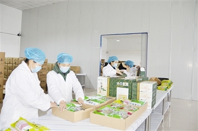 聚力鄉村振興 擘畫田疇藍圖