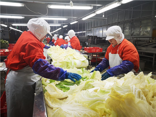 人民網│山東膠州:120余個農產品品牌,對農業經濟貢獻率超6成