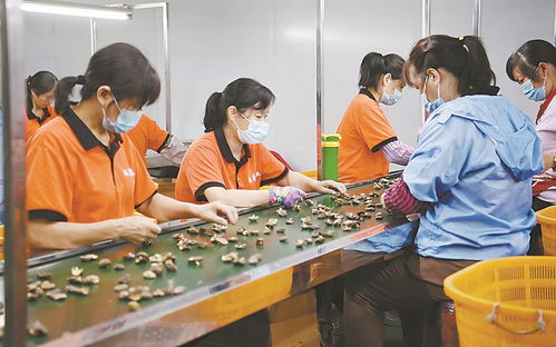 推動農產品走出去