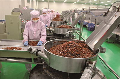 【特別關注】設施農業一路向好