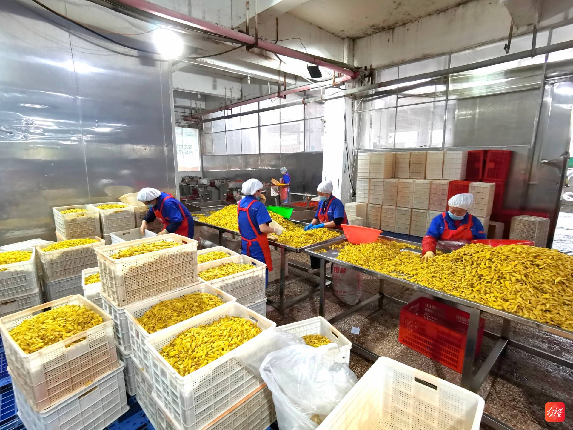 「貴州農產品加工之"辣"」一頭聯農戶一頭系市場!一瓶辣椒.