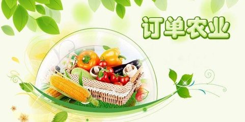 農產品電商未來的五種盈利模式