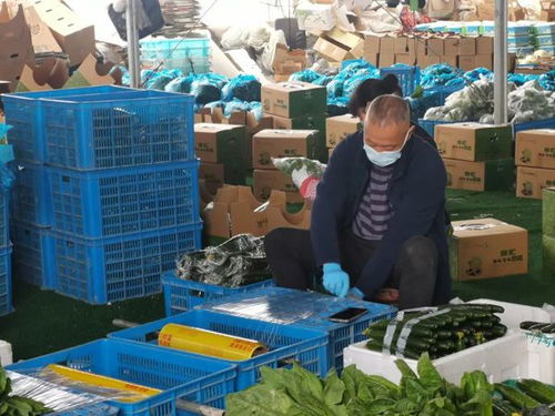 保障 菜籃子 管好 菜園子 保障疫情期間農產品保供工作,ta們這樣做