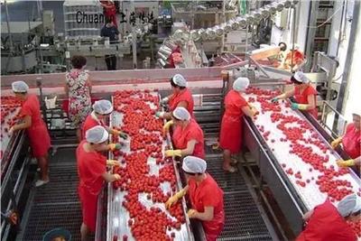 農村商機好項目有哪些(8個最有前景的致富項目)