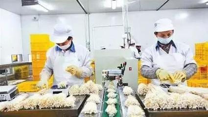 村里這些產(chǎn)業(yè)今年要火!農(nóng)業(yè)農(nóng)村部已明確要支持!看完后賺錢思路大開