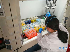 阜康市農(nóng)產(chǎn)品檢驗(yàn)檢測中心 發(fā)揮技術(shù)支撐作用 為農(nóng)產(chǎn)品安全生產(chǎn)保駕護(hù)航