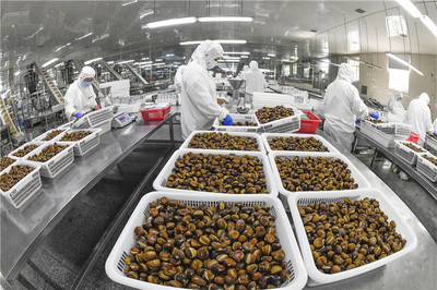 遵化:農(nóng)產(chǎn)品轉(zhuǎn)化助農(nóng)增收