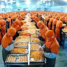 大農(nóng)推薦:農(nóng)產(chǎn)品深加工賺錢,這些最新技術(shù)打包給你!