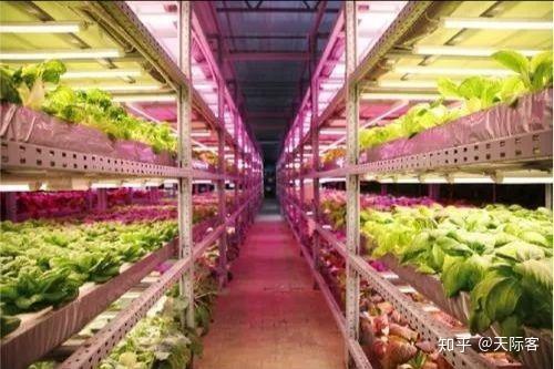 農(nóng)業(yè)上有什么問(wèn)題,但還沒(méi)解決的嗎