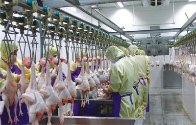 「扶貧產(chǎn)業(yè)巡禮之六」廣西興業(yè):把農(nóng)產(chǎn)品深加工做大做強(qiáng)