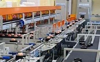 易碰水果無(wú)損傷分選流水線 助力水果產(chǎn)業(yè)發(fā)展