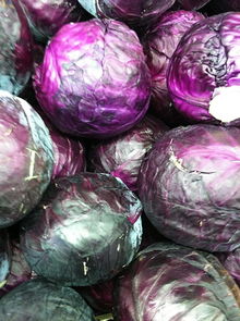 我國(guó)農(nóng)產(chǎn)品供應(yīng)鏈管理模式有哪些