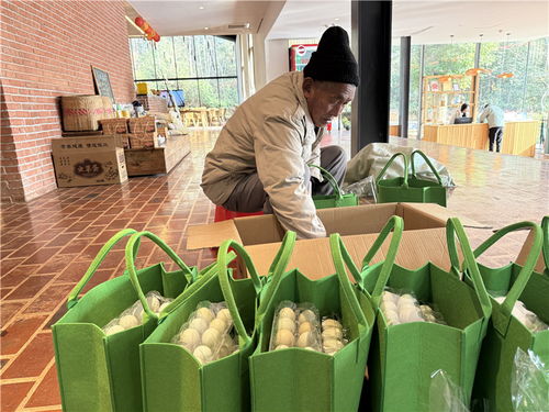 新春走基層丨村舍變民宿 出新生活