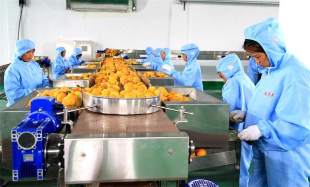 三都農(nóng)產(chǎn)品深加工項(xiàng)目正式投產(chǎn)