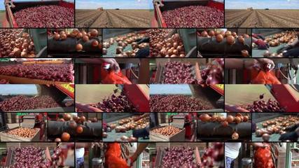 農產品mp4農產品mp4