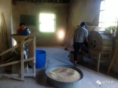 那個年代沒有電,大埔很多地方都有水力農產品加工廠