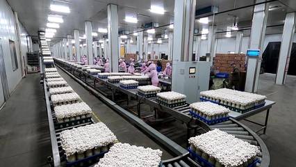 德州:農產品"搶鮮"出海 春節前后市場銷售火爆