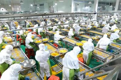 湖南果秀食品:"同線同標同質"助推農產品進入廣闊內外貿市場