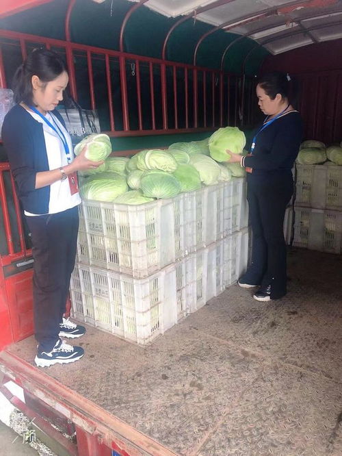 習(xí)水產(chǎn)投集團 助力滯銷農(nóng)產(chǎn)品擴銷路