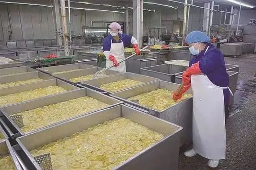 承德積極推進京津冀現(xiàn)代農(nóng)業(yè)協(xié)同發(fā)展鳳凰網(wǎng)河北 鳳凰網(wǎng)