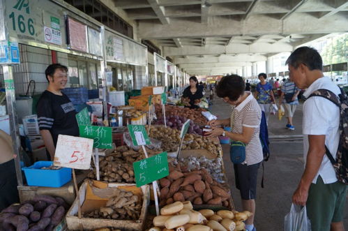 這個年,送你一份深圳北 秘密花園 最有范打卡指南